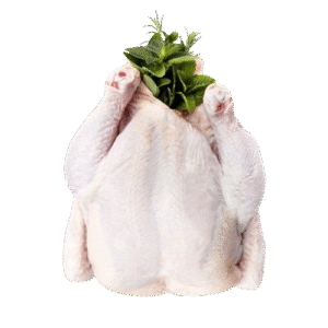 BODY MEAT